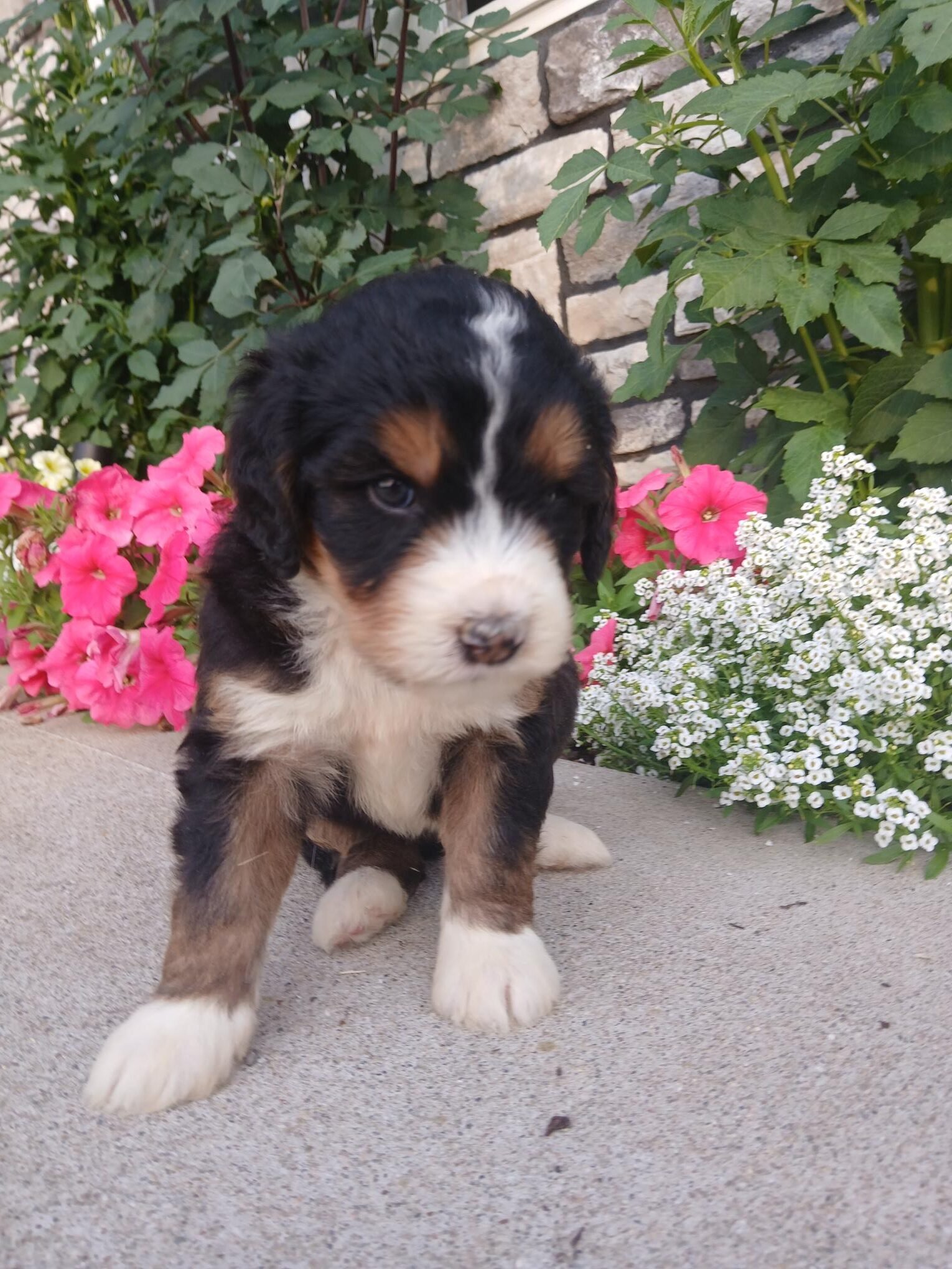Lucy - Image 4